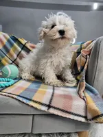 processed/029f9c29-f785-46af-8f06-337e336e91f1/listing/ee2d5eb1-8210-449d-b5ad-cbd90f65c5dd/28ad876b-673b-4bcd-b5d3-f240be80d6ef