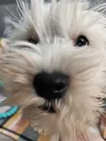 processed/029f9c29-f785-46af-8f06-337e336e91f1/listing/ee2d5eb1-8210-449d-b5ad-cbd90f65c5dd/72da222c-f7cf-4ded-b4f3-67400fc18d53