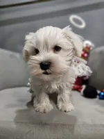 processed/029f9c29-f785-46af-8f06-337e336e91f1/listing/ee2d5eb1-8210-449d-b5ad-cbd90f65c5dd/7613cf30-188f-4bfe-89df-2e1d412474c6