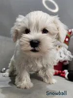 processed/029f9c29-f785-46af-8f06-337e336e91f1/listing/ee2d5eb1-8210-449d-b5ad-cbd90f65c5dd/7f27a57d-7684-4f3d-98d6-b3a45e248c79