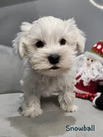 processed/029f9c29-f785-46af-8f06-337e336e91f1/listing/ee2d5eb1-8210-449d-b5ad-cbd90f65c5dd/c1aca36b-d9d3-421c-abaa-95cf2ac32782