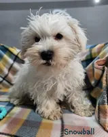 processed/029f9c29-f785-46af-8f06-337e336e91f1/listing/ee2d5eb1-8210-449d-b5ad-cbd90f65c5dd/c4d964a5-302b-4d8d-833e-eb4ec43dc216