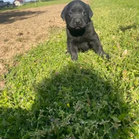 processed/02a42b08-b4de-427c-ba56-8105cfd77e11/facility/7339447a-a3ac-4ac2-a865-da3e30e6aabd