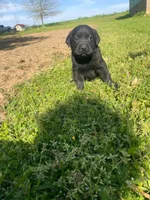 processed/02a42b08-b4de-427c-ba56-8105cfd77e11/facility/7339447a-a3ac-4ac2-a865-da3e30e6aabd