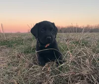 processed/02a42b08-b4de-427c-ba56-8105cfd77e11/listing/4c043f53-9d31-4e15-ac4f-fba44988a6f4/28c32050-fac4-483c-aa6e-6186fe513081