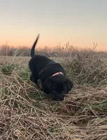 processed/02a42b08-b4de-427c-ba56-8105cfd77e11/listing/4c043f53-9d31-4e15-ac4f-fba44988a6f4/69bac8c4-2a73-408b-92df-7b603973c2cc