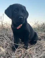 processed/02a42b08-b4de-427c-ba56-8105cfd77e11/listing/4c043f53-9d31-4e15-ac4f-fba44988a6f4/8de6fb9e-c92c-44d4-99fb-375389a7bf8d