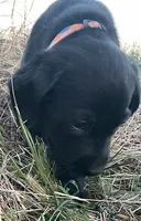 processed/02a42b08-b4de-427c-ba56-8105cfd77e11/listing/4c043f53-9d31-4e15-ac4f-fba44988a6f4/981c1f6a-41d6-4ee9-a1aa-7823679ff26d