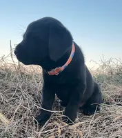 processed/02a42b08-b4de-427c-ba56-8105cfd77e11/listing/4c043f53-9d31-4e15-ac4f-fba44988a6f4/acba8d4d-bea0-44da-99dc-a48c1f29b0c2