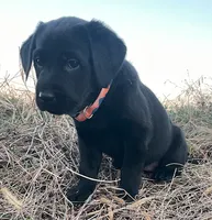 processed/02a42b08-b4de-427c-ba56-8105cfd77e11/listing/4c043f53-9d31-4e15-ac4f-fba44988a6f4/ae27acb2-ed39-40a6-ab08-6d4b3846373a