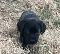 processed/02a42b08-b4de-427c-ba56-8105cfd77e11/listing/8a03219a-9e1b-4d12-b4fd-9315e463891b/02ef30fc-a61d-4519-a207-c6c97b4a492d