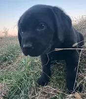 processed/02a42b08-b4de-427c-ba56-8105cfd77e11/listing/8a03219a-9e1b-4d12-b4fd-9315e463891b/4acdaf86-49f8-44fb-ba85-b8c4ca9c24c3