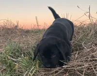 processed/02a42b08-b4de-427c-ba56-8105cfd77e11/listing/8a03219a-9e1b-4d12-b4fd-9315e463891b/6c59ecbf-9ca1-461d-8c7b-81d3804f5764