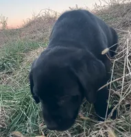 processed/02a42b08-b4de-427c-ba56-8105cfd77e11/listing/8a03219a-9e1b-4d12-b4fd-9315e463891b/80e47cde-138e-49ff-b231-868a76b800da