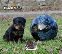 processed/02b25261-386f-4878-ab22-d76aea0774ca/listing/03c21000-4b23-4b18-974e-fa6d8ac12caa/cdee36ef-c09b-41c4-ad98-901703c21b4a