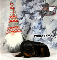 processed/02b25261-386f-4878-ab22-d76aea0774ca/listing/09ec0773-1003-4d08-a4df-694e064563de/a88b079f-c2b1-4a07-b505-ae01dc543937