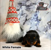 processed/02b25261-386f-4878-ab22-d76aea0774ca/listing/09ec0773-1003-4d08-a4df-694e064563de/c668cc73-99be-4dd4-a3a9-0195d3c9f7d9