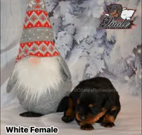 processed/02b25261-386f-4878-ab22-d76aea0774ca/listing/09ec0773-1003-4d08-a4df-694e064563de/ce0f4b14-c7f2-4f8e-9366-f36fc2cfd87d