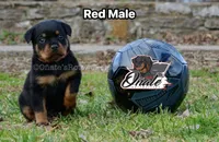 processed/02b25261-386f-4878-ab22-d76aea0774ca/listing/1213671e-1b1f-4819-9c0a-79385a580426/8b805fc8-9333-48e0-9137-e7c386d777e7