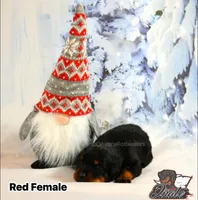 processed/02b25261-386f-4878-ab22-d76aea0774ca/listing/2a9ecbc3-857c-4119-bfc1-c30fbd42ded1/2afea275-52d9-4a31-9214-e794151fe1db