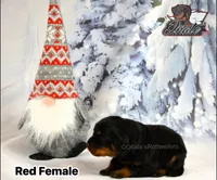 processed/02b25261-386f-4878-ab22-d76aea0774ca/listing/2a9ecbc3-857c-4119-bfc1-c30fbd42ded1/b9853418-8277-41e5-a346-11375f594331