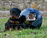 processed/02b25261-386f-4878-ab22-d76aea0774ca/listing/6d6f04ee-d58e-4aa9-a2cf-d9246f7d0c25/2ebd4fd5-3004-41a0-896a-8aa10215c2a7