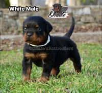 processed/02b25261-386f-4878-ab22-d76aea0774ca/listing/6d6f04ee-d58e-4aa9-a2cf-d9246f7d0c25/4a0b24f7-7834-4a16-bccc-5cf56d5a34cf