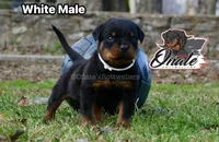 processed/02b25261-386f-4878-ab22-d76aea0774ca/listing/6d6f04ee-d58e-4aa9-a2cf-d9246f7d0c25/65ceb4ae-fd63-4d88-86c2-c67ffbf19e66