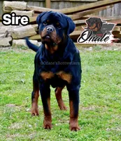 processed/02b25261-386f-4878-ab22-d76aea0774ca/listing/765723b2-39fa-46e9-be40-5e81148d779d/232a14ba-0269-476a-84cd-d9c733c44484