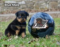 processed/02b25261-386f-4878-ab22-d76aea0774ca/listing/765723b2-39fa-46e9-be40-5e81148d779d/2b6ea5a7-0895-4e2e-8e17-b5f4e7201ddc