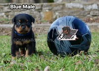 processed/02b25261-386f-4878-ab22-d76aea0774ca/listing/765723b2-39fa-46e9-be40-5e81148d779d/451ffbef-2ec4-48e0-830d-20a379c01c05