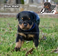 processed/02b25261-386f-4878-ab22-d76aea0774ca/listing/765723b2-39fa-46e9-be40-5e81148d779d/a71c0636-b8ea-47b6-a516-cc76fcae9243