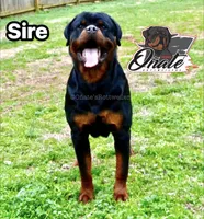 processed/02b25261-386f-4878-ab22-d76aea0774ca/listing/92198041-c0fb-46c8-8ac7-0a1ae8f1e27f/0e7b574e-92fb-4f78-b348-eca7729ecd26