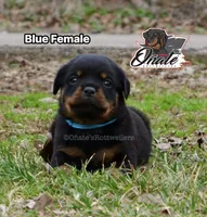 processed/02b25261-386f-4878-ab22-d76aea0774ca/listing/92198041-c0fb-46c8-8ac7-0a1ae8f1e27f/1290beaf-5a92-4ff6-96cb-33de1e963141