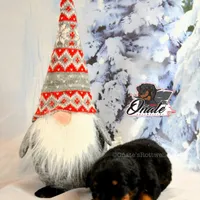 Daisy , a female Rottweiler for sale in Goodlettsville, TN – Photo 6 of 10