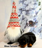 processed/02b25261-386f-4878-ab22-d76aea0774ca/listing/92198041-c0fb-46c8-8ac7-0a1ae8f1e27f/a5d9bd33-f643-45d5-b1cc-2d0003f6d5f8