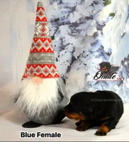 processed/02b25261-386f-4878-ab22-d76aea0774ca/listing/92198041-c0fb-46c8-8ac7-0a1ae8f1e27f/eaf5a06b-3cb7-434c-b0db-6b0b4b31b98b