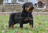 processed/02b25261-386f-4878-ab22-d76aea0774ca/listing/cbd717c2-f55c-4022-9e1f-b9fffedec29e/0a1e8c7f-9c15-419d-966d-07bd97964578