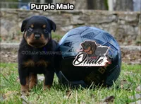 processed/02b25261-386f-4878-ab22-d76aea0774ca/listing/cbd717c2-f55c-4022-9e1f-b9fffedec29e/266892b8-2cfc-462d-962d-cc9b17647da4