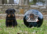 processed/02b25261-386f-4878-ab22-d76aea0774ca/listing/cbd717c2-f55c-4022-9e1f-b9fffedec29e/ed1cece5-d123-44c9-b4d9-dc45a4af9ffa