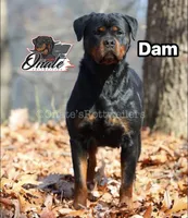 processed/02b25261-386f-4878-ab22-d76aea0774ca/listing/cd11d29b-282f-4125-b5e5-3463b515f71f/6e1ddb8e-1720-4cfa-b9c8-9c86b8d63f55