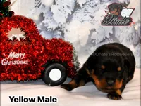 processed/02b25261-386f-4878-ab22-d76aea0774ca/listing/cd11d29b-282f-4125-b5e5-3463b515f71f/7213da04-ed81-40cc-9257-f76d68c6dcc6