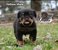 processed/02b25261-386f-4878-ab22-d76aea0774ca/listing/cd11d29b-282f-4125-b5e5-3463b515f71f/86883a33-8fc6-4901-9a2f-ce3bef2d092e