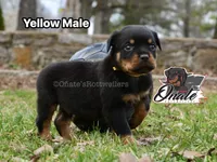 processed/02b25261-386f-4878-ab22-d76aea0774ca/listing/cd11d29b-282f-4125-b5e5-3463b515f71f/a7218af2-b491-4830-a6f7-efd6e10ce2a1