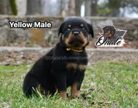 processed/02b25261-386f-4878-ab22-d76aea0774ca/listing/cd11d29b-282f-4125-b5e5-3463b515f71f/e7f4f8b0-380c-45bb-b07f-3168309dd2ae