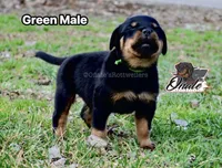 processed/02b25261-386f-4878-ab22-d76aea0774ca/listing/fba9d7a4-746c-4cc7-b348-51b97018ffcb/5801a358-68a4-4317-9ebc-8e3d0c09f5e8