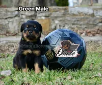 processed/02b25261-386f-4878-ab22-d76aea0774ca/listing/fba9d7a4-746c-4cc7-b348-51b97018ffcb/647527a9-8e03-4bf2-9acc-35c5d41b87a2