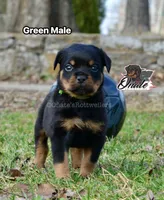 processed/02b25261-386f-4878-ab22-d76aea0774ca/listing/fba9d7a4-746c-4cc7-b348-51b97018ffcb/edbeb751-d514-4e10-bdcf-ec60f63afda1