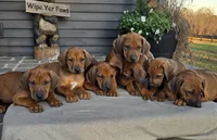 processed/02c02662-b617-423e-9a60-1cd0be6a470a/listing/6c99c651-f491-4d09-a2fe-2a9fae052e96/1901f8a7-7e33-4dc7-8480-4214ddafac5e