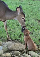 processed/02c02662-b617-423e-9a60-1cd0be6a470a/listing/6c99c651-f491-4d09-a2fe-2a9fae052e96/5ff1cea8-bee7-4060-881a-1c1a683e8279